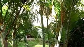 Princeville Golf Course Short Sale Condo