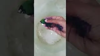 LEAF boat🥬🥬 ||creation man vlogs||leaf#toy tech media#shorts#