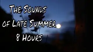 8 HOUR SLEEP VIDEO Late Summer Night Sounds | FALL ASLEEP FAST | FALL ASLEEP FAST AND STAY ASLEEP