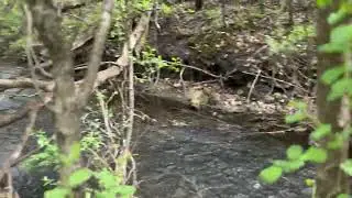 Spring Brook Creek @ W301S5534 HIGHWAY 83