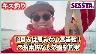 【キス釣り】12月とは思えない高活性！7投素鈎なしの衝撃釣果