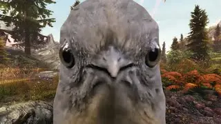 New Bird Species Discovered in Skyrim