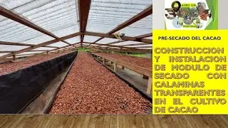 CONSTRUCCION Y INSTALACION DEL MODULO DE SECADO CON CALAMINAS TRANSPARENTES DEL CACAO