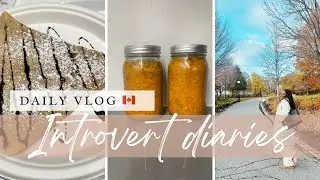 VLOG SLOW LIVING 🍂 | Balade, shopping Zara & Uniqlo, meubles & cuisine slow living|Sophiakblog