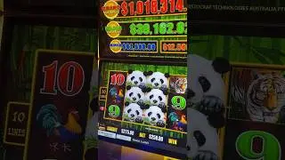 $250 Spins = MASSIVE Line Pay 💰