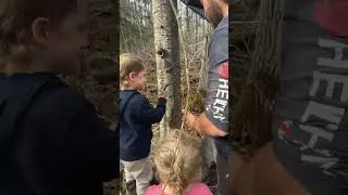 Making some tree faces with the kids #northernontario #lifeonthefarm