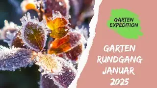 Erster Gartenrundgang 2025 &ndash; Mein Naturgarten im neuen Jahr! - Gartenexpedition #naturgarten