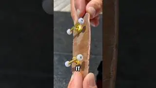 Reviewing my subscribers fingerboard #lcboards #fingerboard #skateboard #techdeck #fingerskate #diy