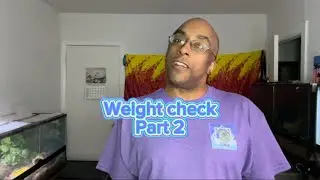 Snake weight check #ballpython #royalpython #brazilianrainbowboa #snaketalk #reptiles #pets #snakes