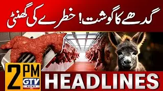 Food Authority Operation | 25 Tons of Donkey Meat Recovered |  2 PM News Headlines | GTV News
