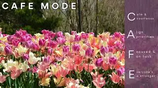 Classroom Workday Timer CAFE MODE Spring Vibes, Music, Study Cafe - 1 Hour