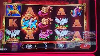 dragon treasure pearls slot  machine MASSIVE WIN?