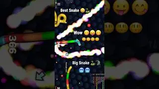 Pro Snake Trap Kill 🐍💀