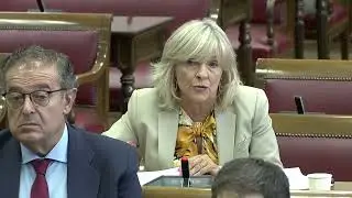 Mar&iacute;a Chivite comparece en el Senado