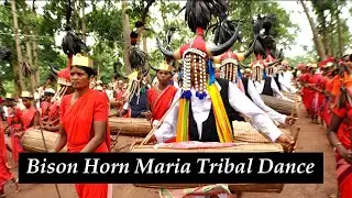 Bison Horn Maria Tribal Dance | Chhattisgarh Tourism | Bastar Dussehra | Discover Vibrant India