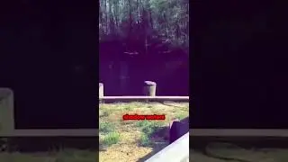 Is It a Ghost? The Mysterious Woman in the Lake! #scary #creepy #chills