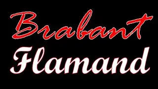 Brabant Flamand - 4K