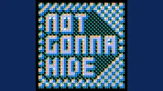 Not Gonna Hide