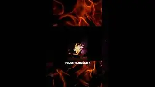 Cracking Fire w/ Nature Sounds | Campfire Ambience |#shorts   #naturesounds #cracklingfiresounds