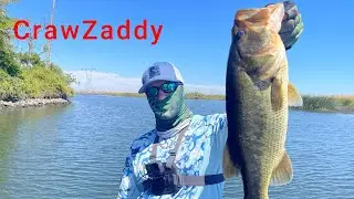 South Delta low tide - you can call me CrawZaddy!