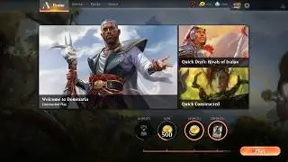 MTGA BW Knights