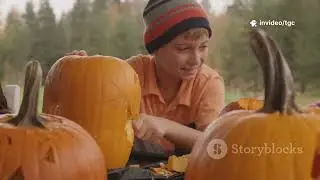 October 26th Top Gift Ideas & Celebrations | Pumpkins, Mules & Military Support