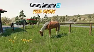 How to Feed Horse | Farming simulator 23 | fs 23 Horse guide