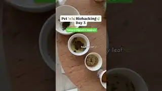 Animal naturopath. Pet biohacking. Pet health. Cats. Dogs. Kittens.
