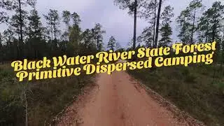 The Bluffs - Free Dispersed Camping in the Blackwater River State Forest - Harold FL