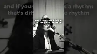 Soft Animal &mdash; music for slowing down #SoftAnimal #Kwun