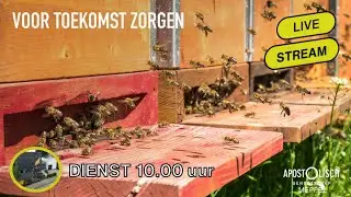 EreDienst Livestream 📺 04-01-2026 | Apostolisch Genootschap | Meppel
