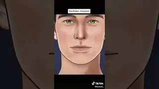 #ASMR # #anime #tiktokbeauty