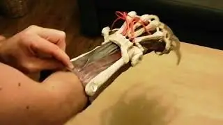 New nightmare glove by Anders Eriksen. Wes craven's new nightmare