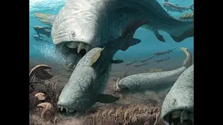 The History Of Dunkleosteus Size
