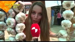 De fiesta en fiesta.- Arcos de Jalón, Santa Marina del Rey, Peñaranda de Bracamonte, Coreses