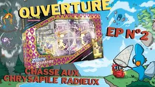OUVERTURE chasse aux chrysapile radieux n&deg;2 la chasse continue...👀