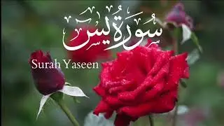 Surah Yaseen | Yasin | 036surah | يٰسٓ&lrm; | Heart of the Quran