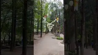 Остров Нами #жизньвкорее #отдыхвкорее #корея #тревелвлог #namiisland #korea