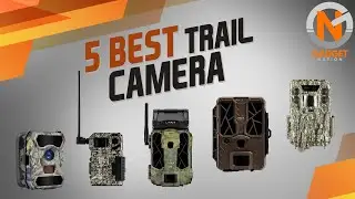 5 Best Trail Camera 2021
