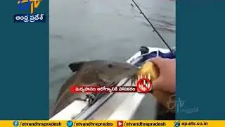 Video Of A Fish Drinking Beer Leaves Netizens Stunned | Watch