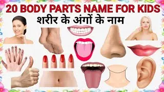  20 शरीर के अंगो के नाम सीखें | 20 Body Parts Names for Kids | English Human Body Vocabulary Video