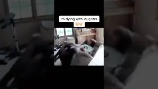 I’m dying from laughing