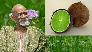 Dr Sebi Talks About Hybrid Foods And Eva Salve Benefits