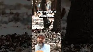 Вы все еще охотитесь на белок?