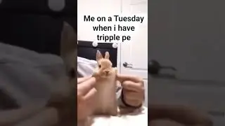me on a Tuesday when I have triple pe #like #school #meme #subcribe  #pe #subscribemychannel #share