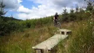 Boardwalk on Whites Level trail, Afan