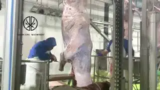 Professional Hydraulic System Slaughterhouse Cattle Skinning Machine For Halal Cow  +8618652967546