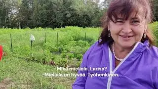 Oma Maa osuuskunnat hanke&maahanmuuttajat