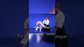Aikido IKKYO: The First Pinning Technique
