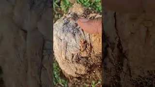 #natural #gemstone #stone #rock #rockhounding #explore #minerals